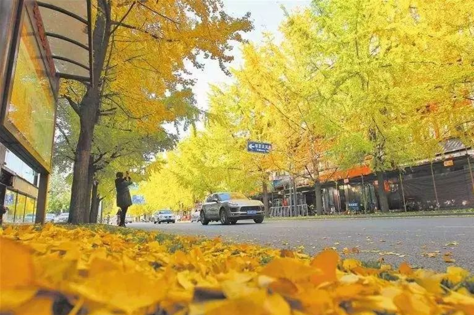 深圳農產品配送?中心淺談老年人秋季如何保健