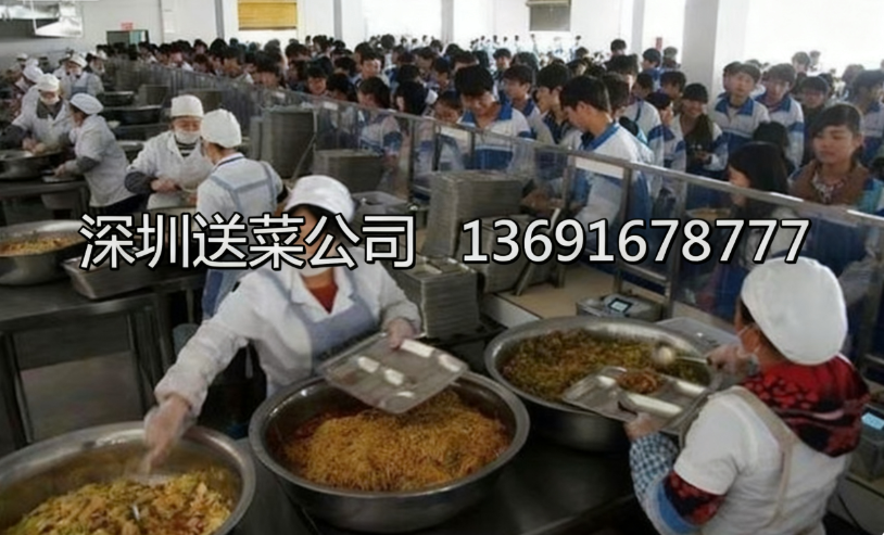 學校如何判斷送菜公司食材質量是否合格？