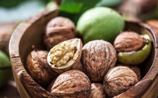 為什么核桃被稱為“長壽果”？東莞生鮮食材配送中心告訴你