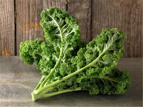 羽衣甘藍的核心營養(yǎng)與食用指南,下面讓深圳蔬菜公司來告訴您